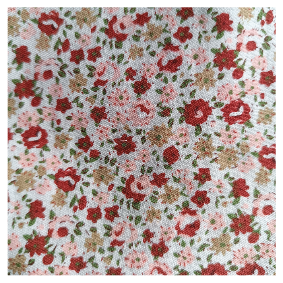 Coton Charlotte